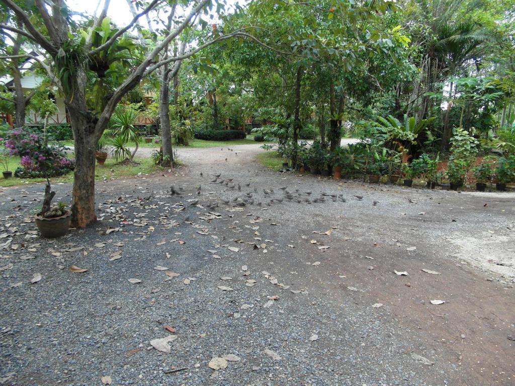 Baan Tai Rom Yen Resort Surat Thani Zewnętrze zdjęcie